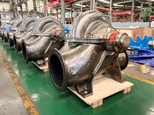 Double Suction Pump Unpainted