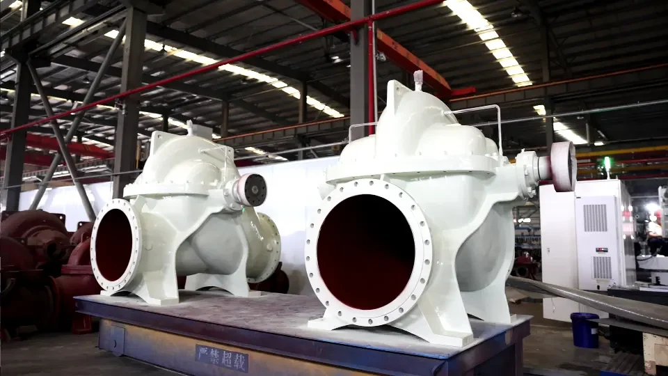 Double Suction Pumps In Workshop